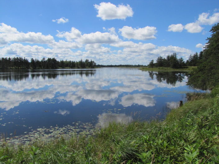 Still water Photo by USFWSmidwest on Flickr